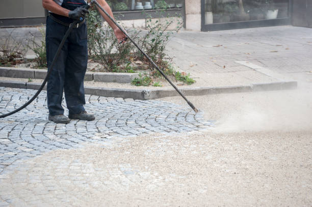 Animal Enclosure Cleaning in Mobridge, SD